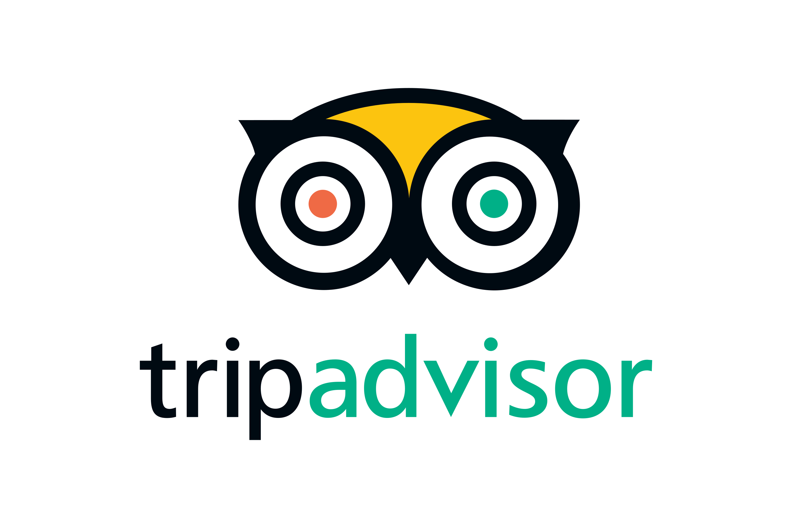 TripAdvisor-Logo.wine_